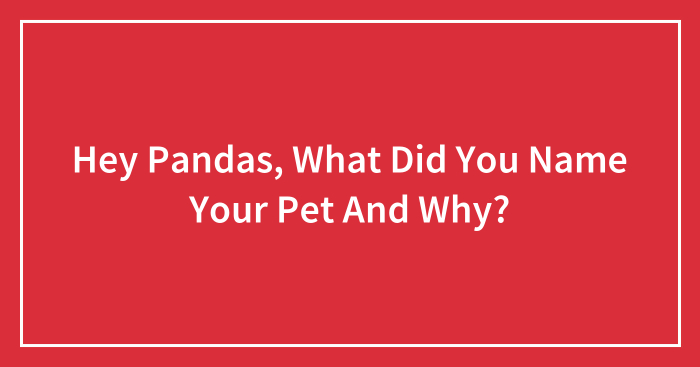 Hey Pandas, What Did You Name Your Pet And Why? (Closed)