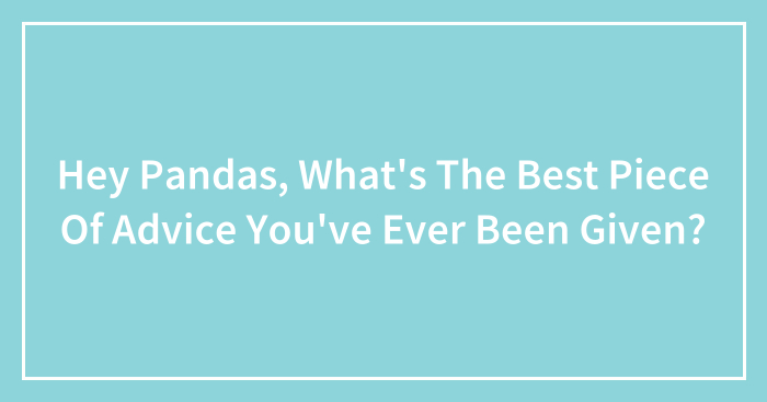 Hey Pandas, What’s The Best Piece Of Advice You’ve Ever Been Given? (Closed)