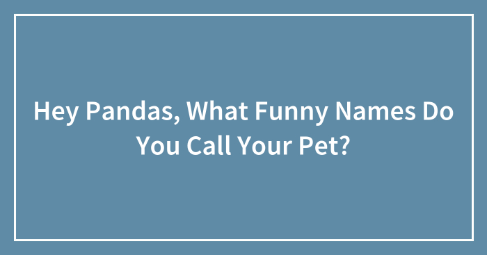 Hey Pandas, What Funny Names Do You Call Your Pet? (Closed)