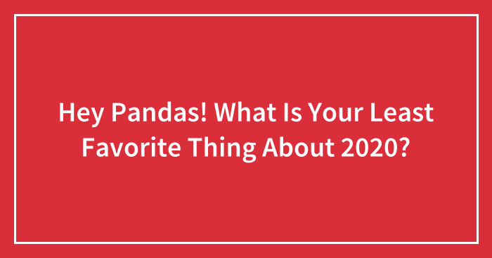 Hey Pandas! What Is Your Least Favorite Thing About 2020? (Closed)