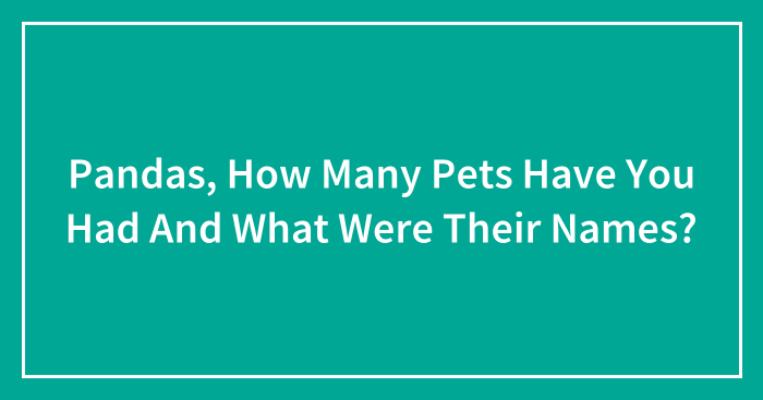 Pandas, How Many Pets Have You Had And What Were Their Names? (Closed)
