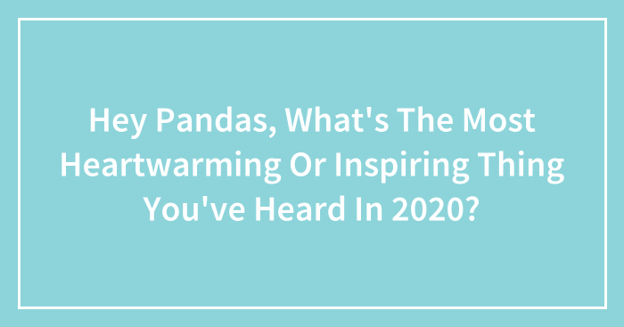 Hey Pandas, What’s The Most Heartwarming Or Inspiring Thing You’ve Heard In 2020? (Closed)