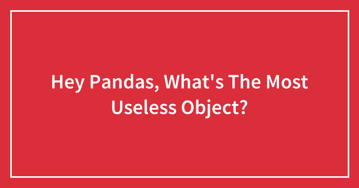 Hey Pandas, What’s The Most Useless Object? (Closed)
