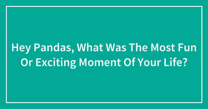 Hey Pandas, What Was The Most Fun Or Exciting Moment Of Your Life? (Closed)