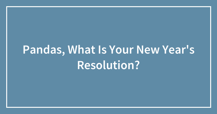 Pandas, What Is Your New Year’s Resolution? (Closed)