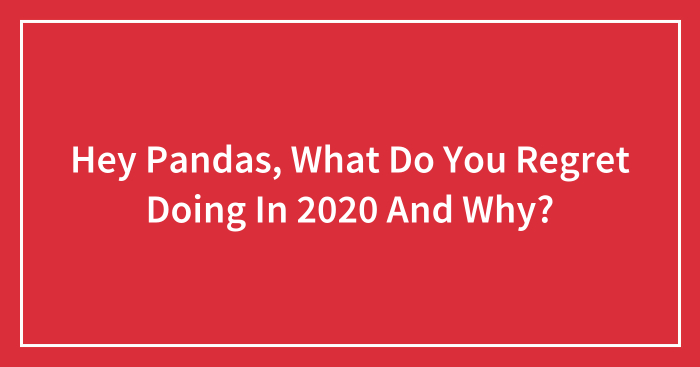 Hey Pandas, What Do You Regret Doing In 2020 And Why? (Closed)