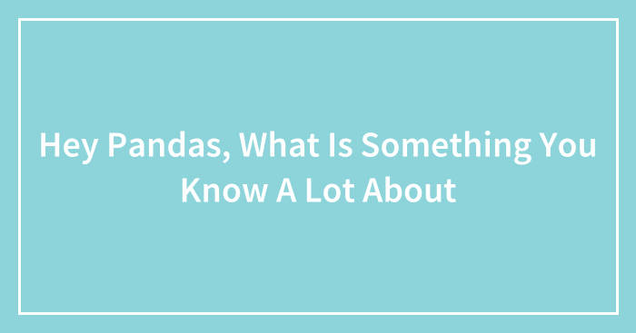 Hey Pandas, What Is Something You Know A Lot About? (Closed)