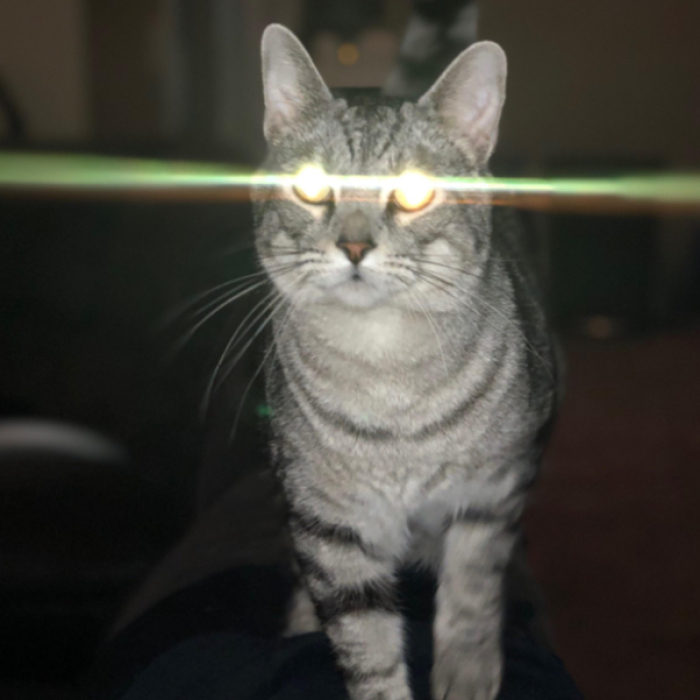 Hey Pandas, Post The Weirdest Picture You’ve Photoshopped (Closed)