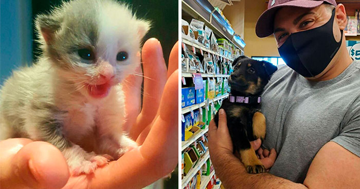 50 Most Wholesome Rescue Pet Photos Of The Month (December Edition)