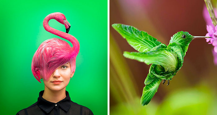 Here Are 66 Surreal Photoshops That Combine Completely Different Objects