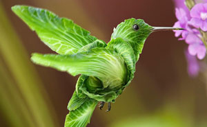 Digital Artist Makes Surreal Edits Using Animals, Plants, People, And Objects (66 Pics)