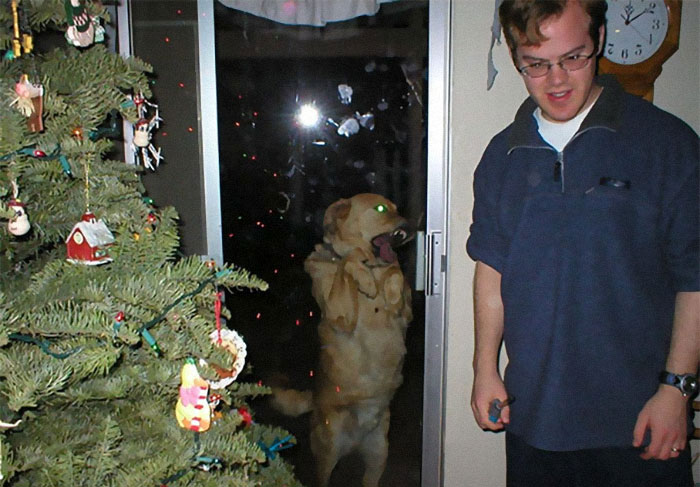39 Christmas Pics That Were Supposed To Be Nice Until The Dog Showed Up