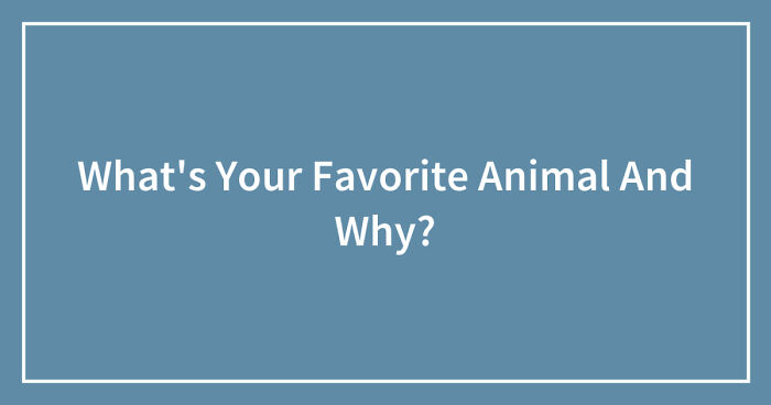 What's Your Favorite Animal And Why? (Closed) | Bored Panda