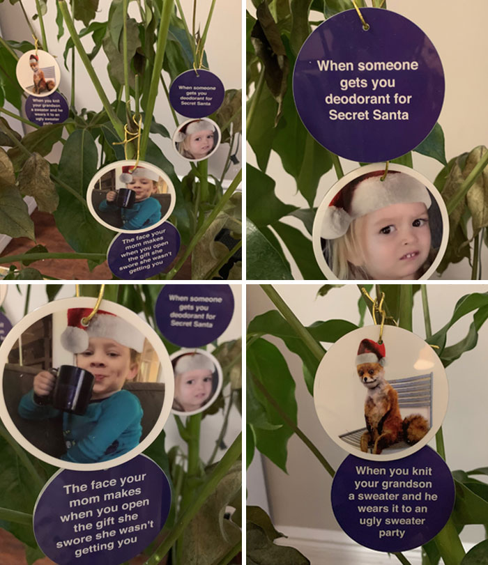 I’m Using My Dying Plant As A Christmas Tree This Year And Decorating It With Meme Ornaments
