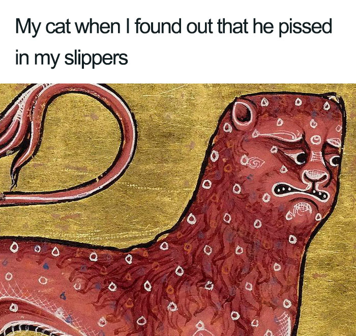 Poor Cat