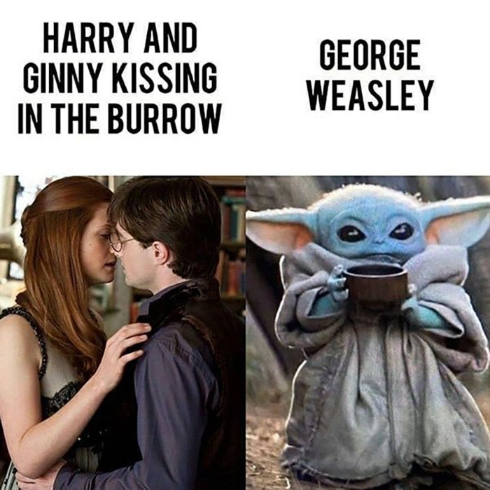Harry Potter And Baby Yoda Is A Recipe For Success