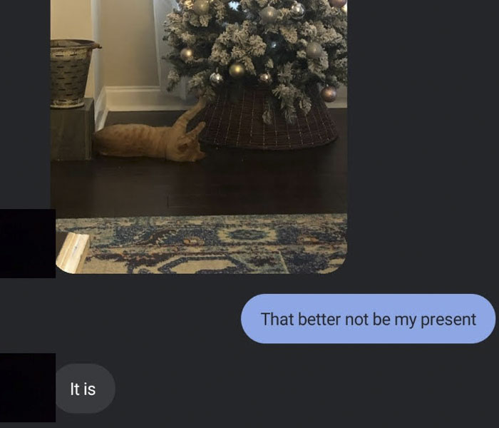 Hey Pandas, Share Your Funniest Texts (Closed)