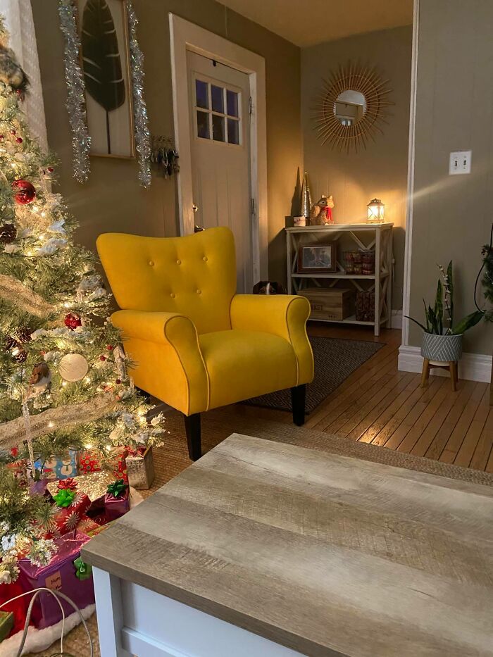 I Thought It Was Obvious Where He Was At When I Posted This On My Own Page But Everyone Just Kept Commenting On The Yellow Chair. I Think Only A Couple People Realized My Dog Was In The Pic. Lol
