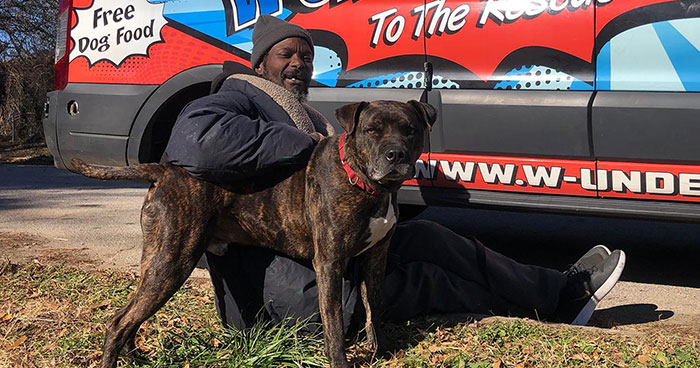 Homeless Man Rushes Into A Burning Animal Shelter – Saves Every Animal