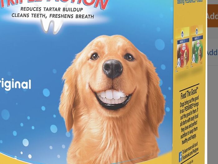 dogs with human teeth commercial