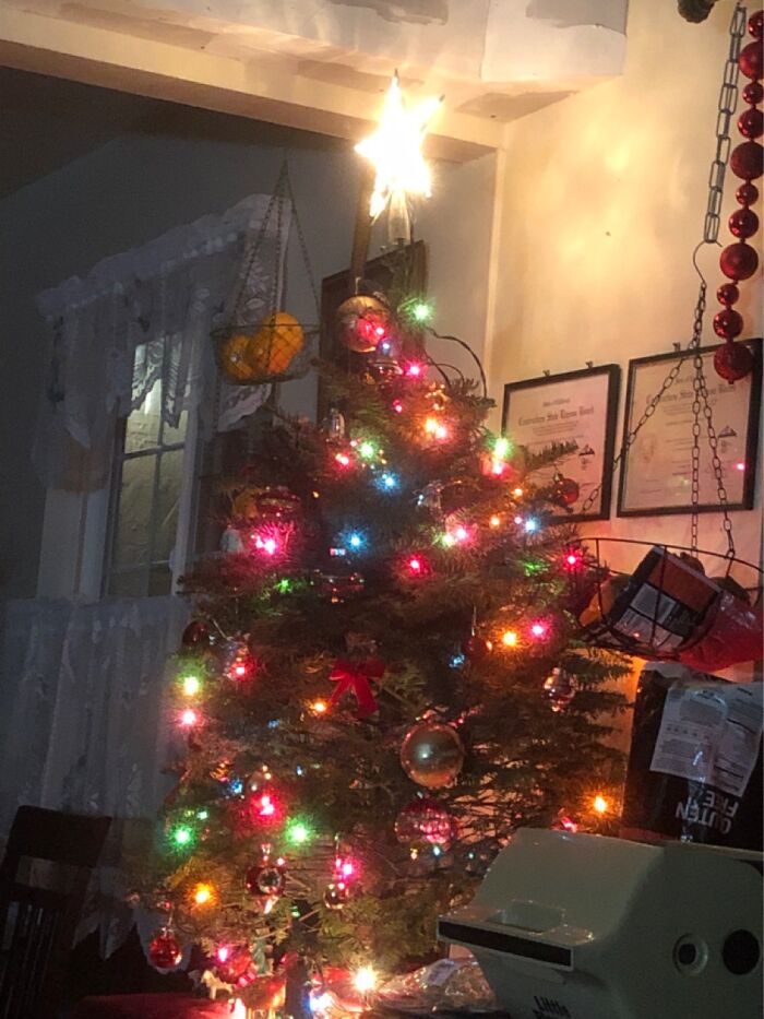 Our Little Charlie Brown Tree