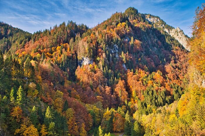 Switzerland In Autumn