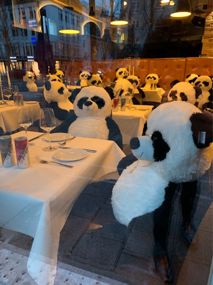 Panda Lunch Gathering