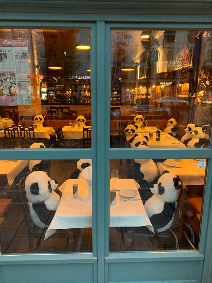 Panda Lunch Gathering
