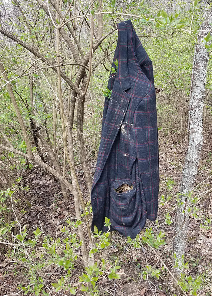 An Old Jacket Hanging In The Woods With A Bird's Nest Built In The Pocket