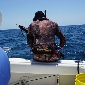 dantesinistra avatar