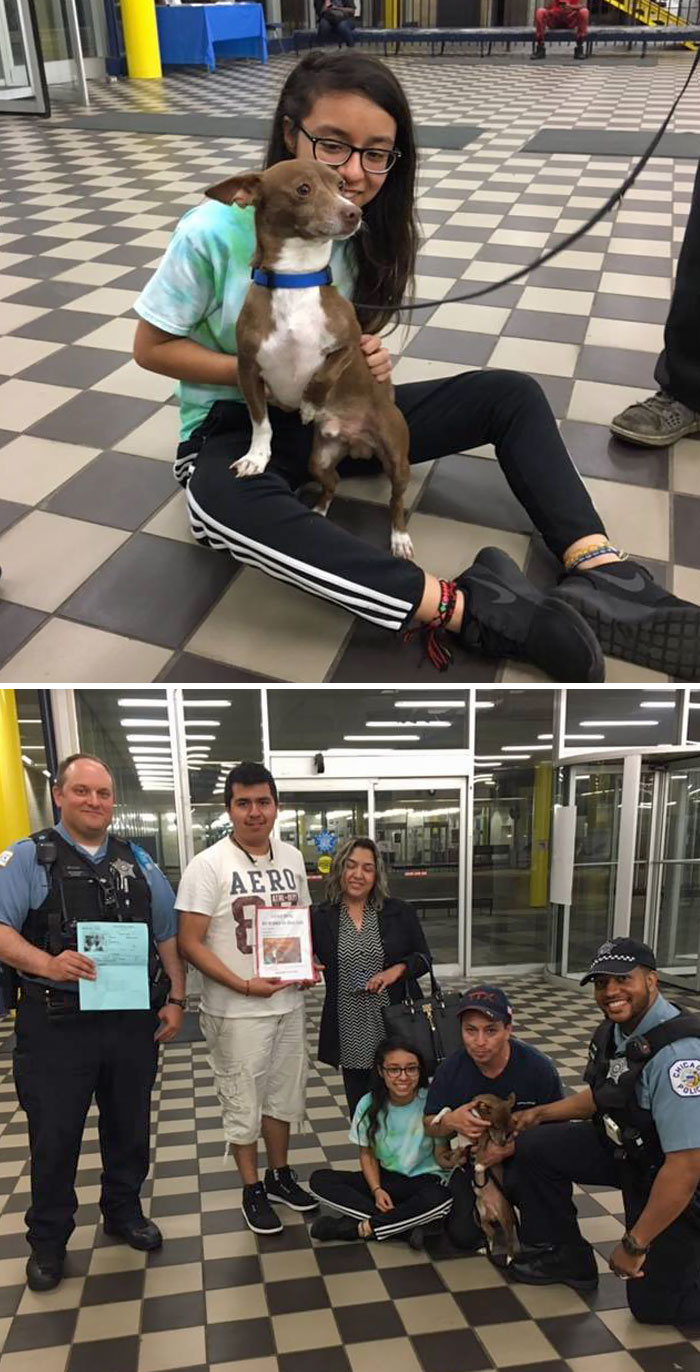 A Chihuahua Reported Missing For 4 Years Was Reunited With His Family