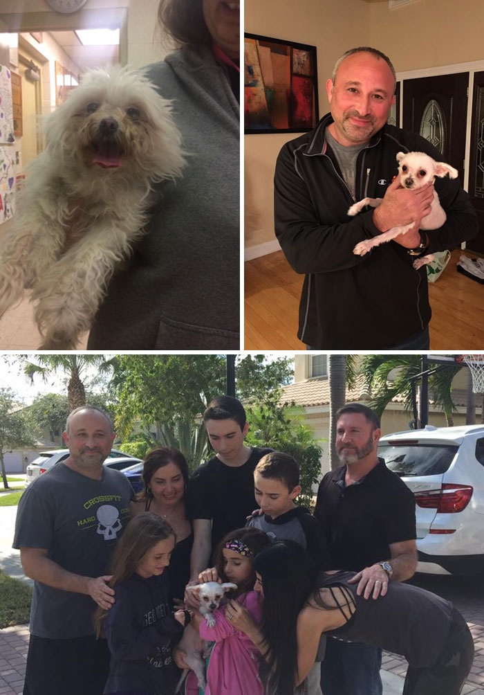 Family In Florida Reunited With Missing Dog After Three Years Of Searching. Their Dog Bella Had Been Picked Up As A Stray And Was Found At An Animal Shelter In New Jersey