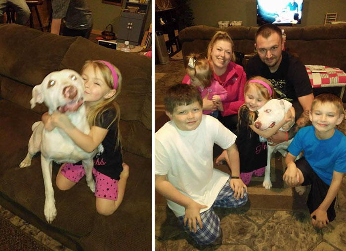4 Days After Girl’s Plea For Missing Dog, Her Best Friend Is Returned