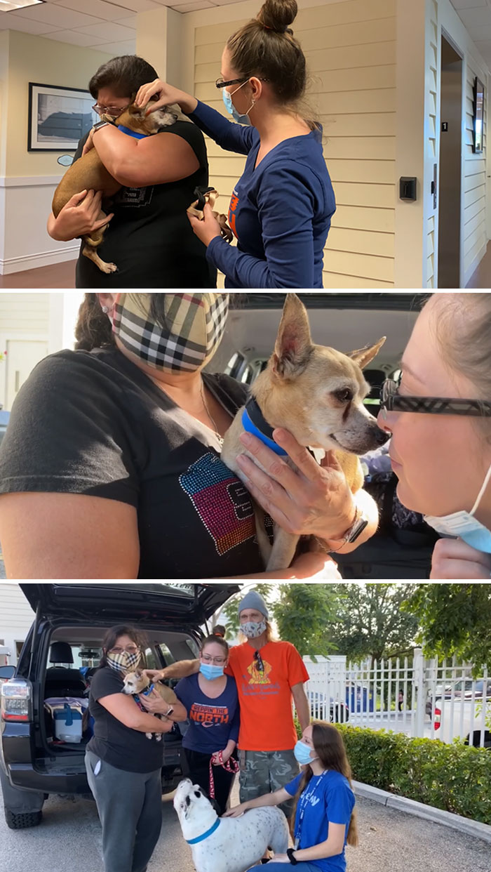 Missing Dog Reunited With Family Six Years Later. This Little Guy Was Stolen From His Family's Yard More Than 1,300 Miles Away In Texas