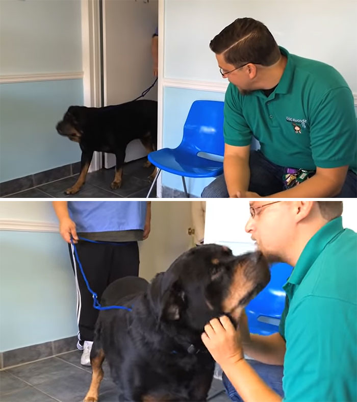 Missing Dog Duke Reunited With His Owner After 8 Long Years
