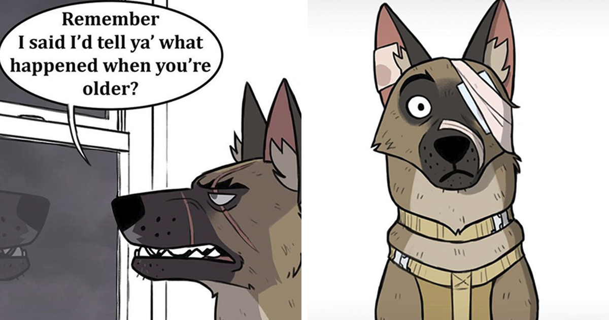 'Brutus The Dog' Reveals To 'Pixie The Cat' How He Got His Scars In 'Pet Foolery's' Latest Heartbreaking Comic - Vimarsana News
