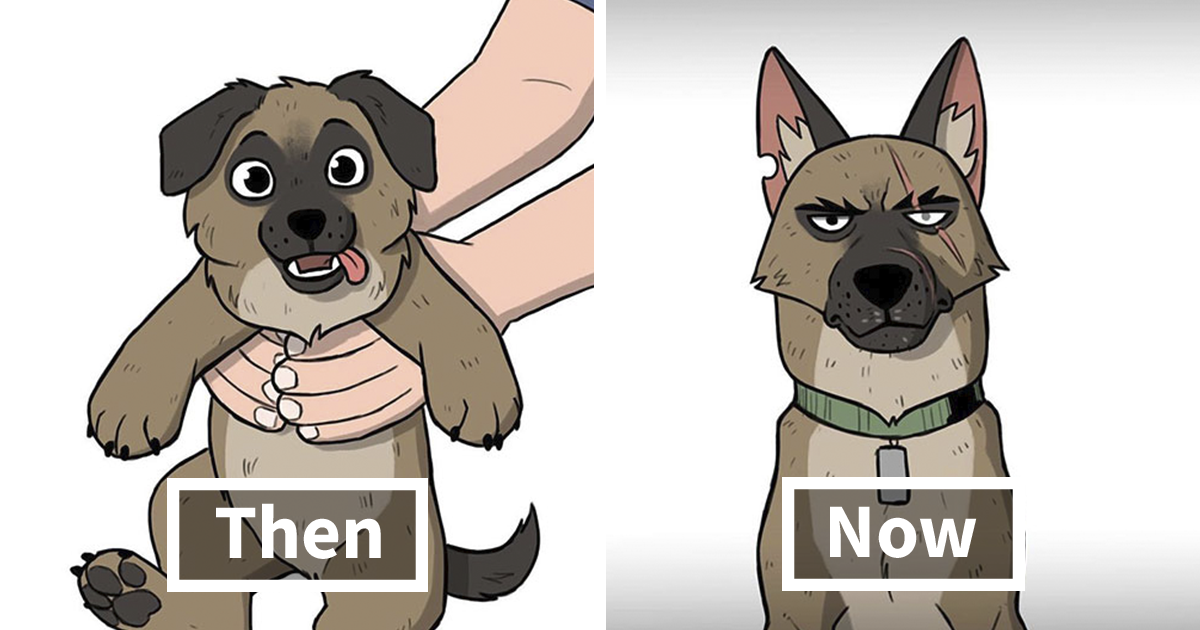 Brutus From 'Pet Foolery's' Comics Finally Tells Pixie How He Got His Scars While In The Military, And The Internet Is In Tears - Vimarsana News