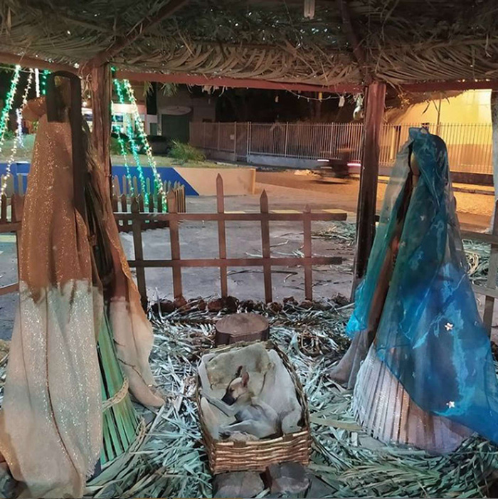 This Woman Passing By Nativity Scene Notices Someone Sleeping In The Manger