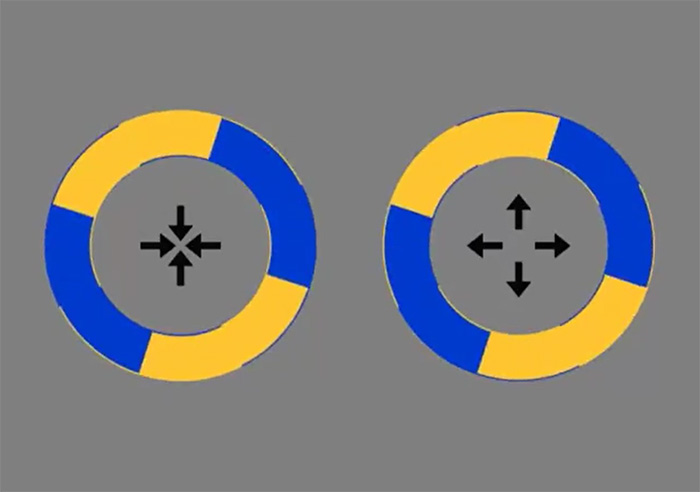 An Optical Illusion Where Circles Seemingly Move Out Of Place Has Become An Internet Sensation