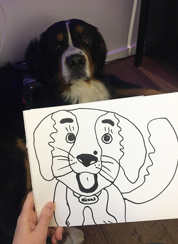 My Dog Is Not Very Impressed By His Portrait (Done With Non-Dominant Hand)
