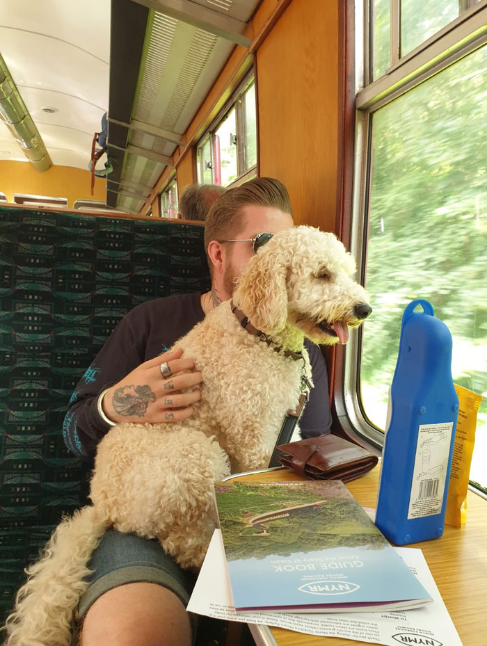 My Dog Loves Seeing Exactly Where He's Going. Always Checking Everything Out On Car Journeys. Safe To Say, He Loved His First Time On A Steam Train