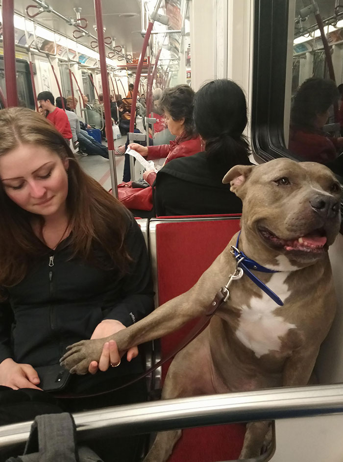 He Makes Her Hold His Hand On The Subway
