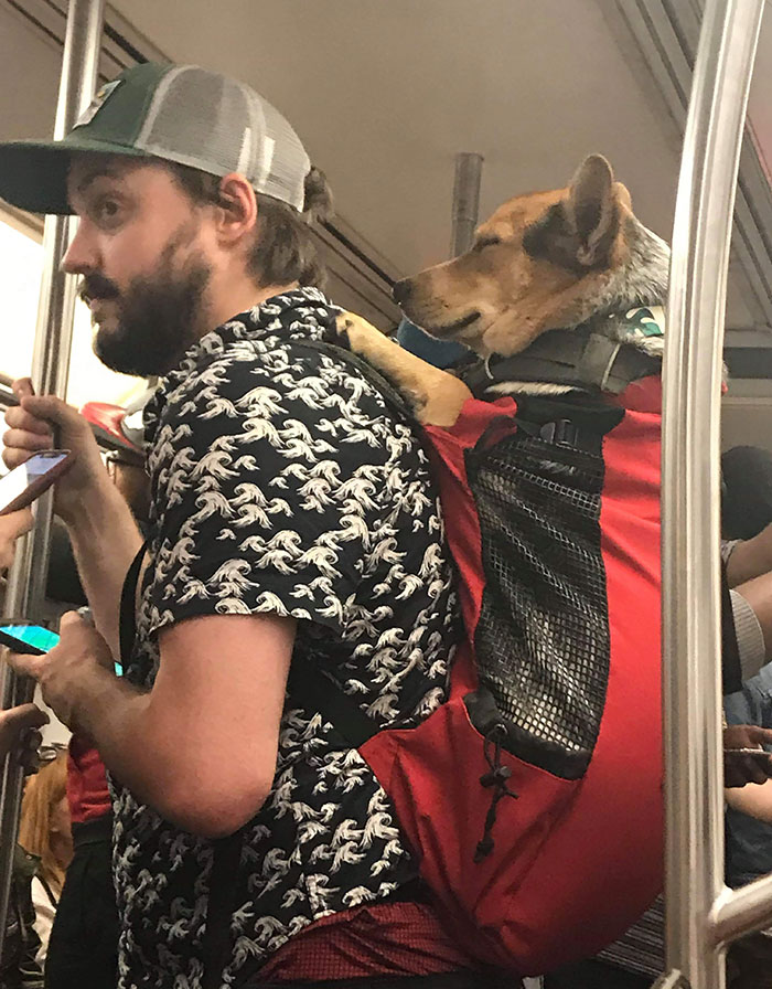 This Guy On The Subway