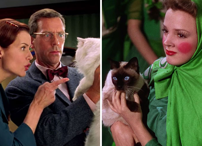 This Twitter Account Asks A Very Important Question: Is There A Cat In This Movie? (30 Pics)