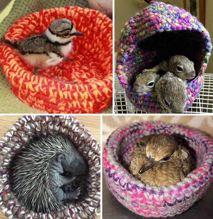 Volunteers All Over The World Hand Make Small Nests For Rescued Birds And Small Orphaned Mammals For Over 500 International Wildlife Rescues And Rehabbers