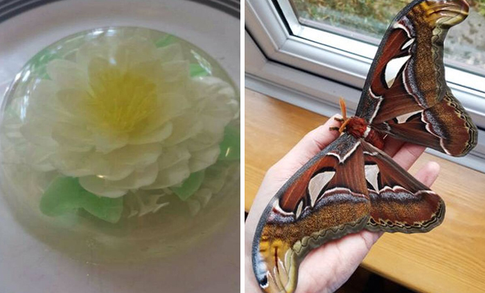 47 Weird Hobbies That Never Crossed Your Mind