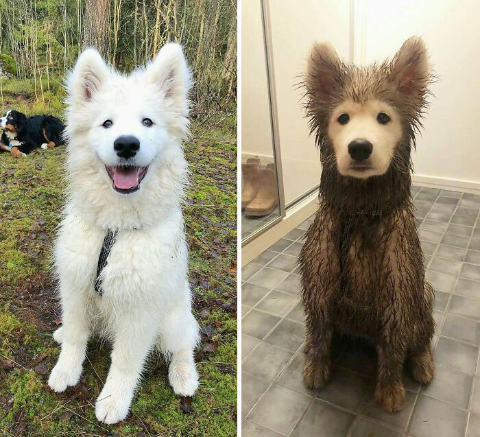 Before And After Playdate