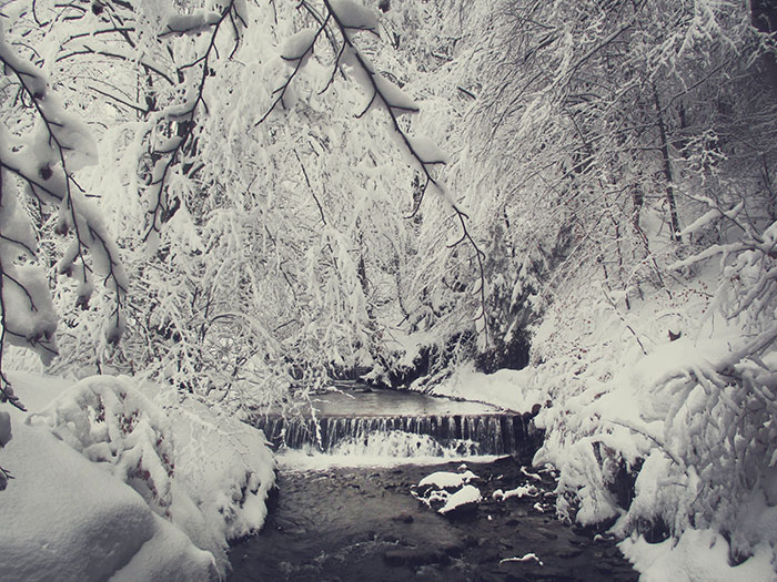 I Capture The Magical Beauty Of Winter In The Ukrainian Carpathians (31 Pics)
