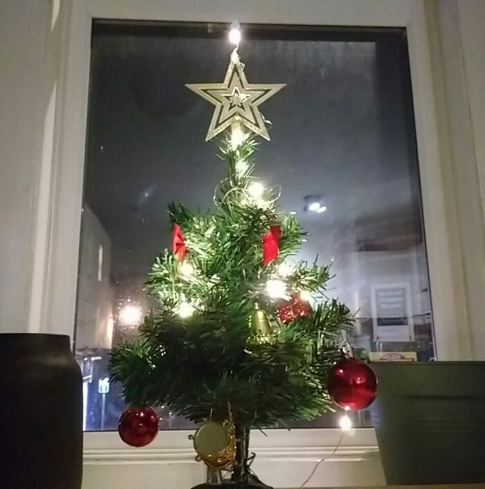 I Won't Be Travelling To See My Parents This Year, But My Mum Sent Me This Little Surprise Tree