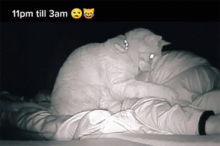 Woman Says She Always Wakes Up Tired, Sets Up A Camera To Witness Her Cat Constantly Tapping Her Body For 4 Hours Straight